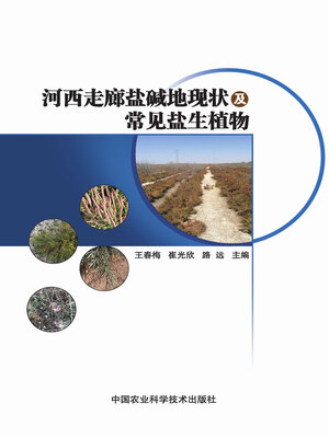 cover image of 河西走廊盐碱地现状及常见盐生植物